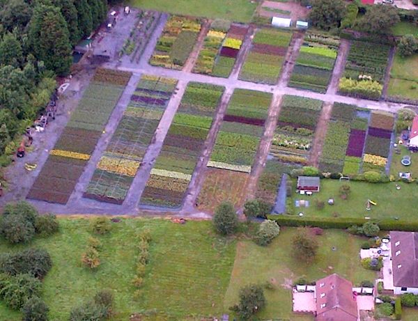 potagers 600